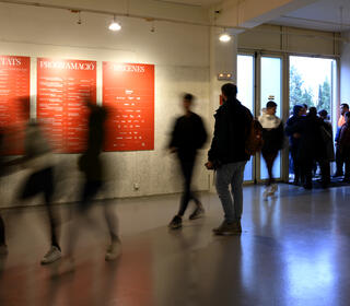 Projecte Actuem. Associació Impacta T