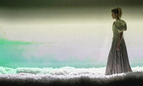 Dissection d'une chute de neige premsa