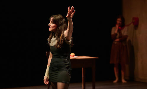 3-anatomia-d'un-suïcidi