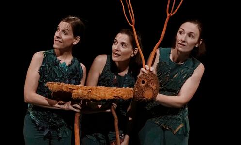 Foto 1 de l'espectacle Sotabosc