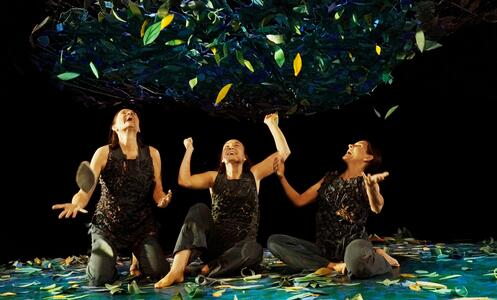 Foto 2 de l'espectacle Sotabosc