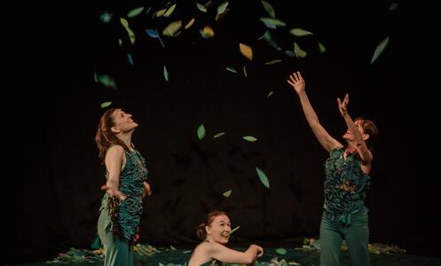 Foto 3 de l'espectacle Sotabosc