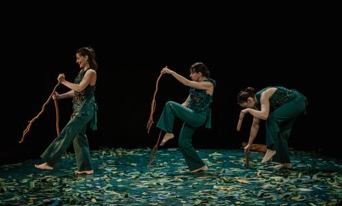 Foto 5 de l'espectacle Sotabosc