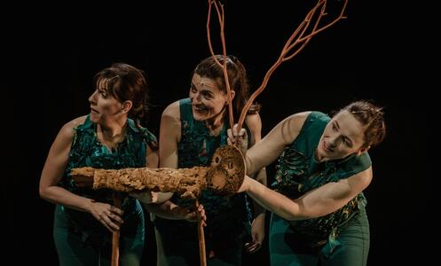 Foto 6 de l'espectacle Sotabosc