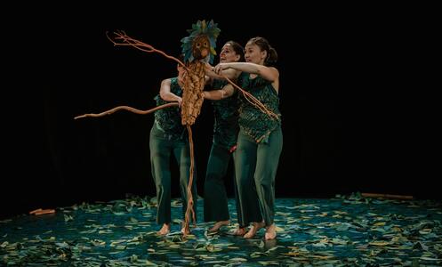 Foto 7 de l'espectacle Sotabosc