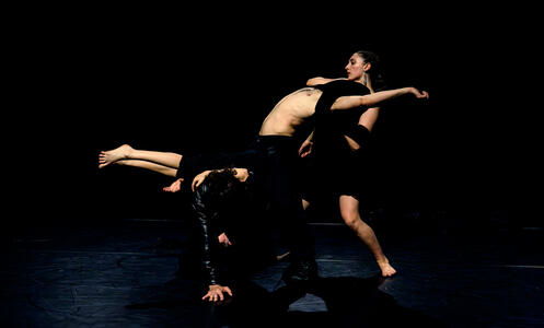 Foto 5 de l'espectacle ChoreoLab internacional © David Kalwar i TanzLabor ROXY Ulm