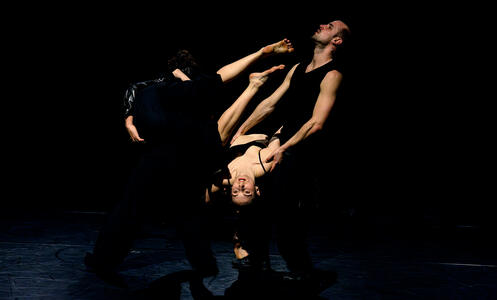 Foto 6 de l'espectacle ChoreoLab internacional © David Kalwar i TanzLabor ROXY Ulm