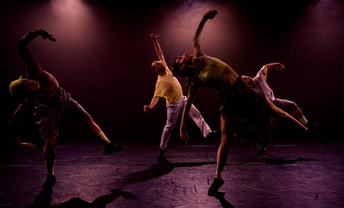 Foto 10 de l'espectacle ChoreoLab internacional © David Kalwar i TanzLabor ROXY Ulm