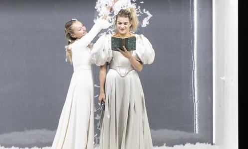 Foto 2 de Dissection d’une chute de neige © Géraldine Aresteanu