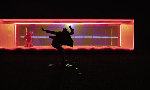 Foto 5 de Dissection d’une chute de neige © Géraldine Aresteanu