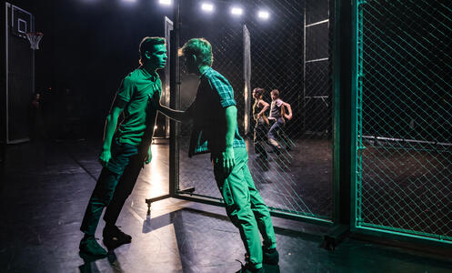 Foto 8 de l'espectacle Loneliness