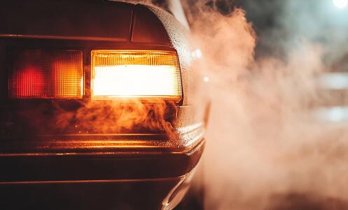 Foto 5 Parc Nacional de Catalunya