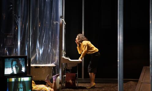 Foto 1 de l'espectacle Les jours de mon abandon