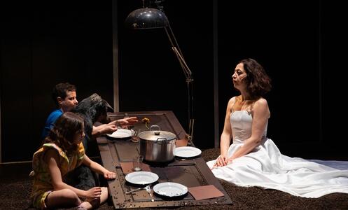 Foto 4 de l'espectacle Les jours de mon abandon