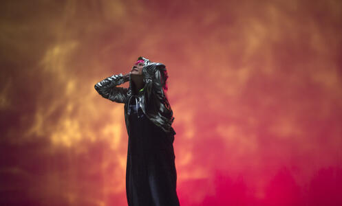 Foto 6 de l'espectacle Macarron power