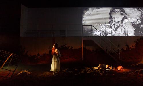 Foto 1 de l'espectacle Primera sangre