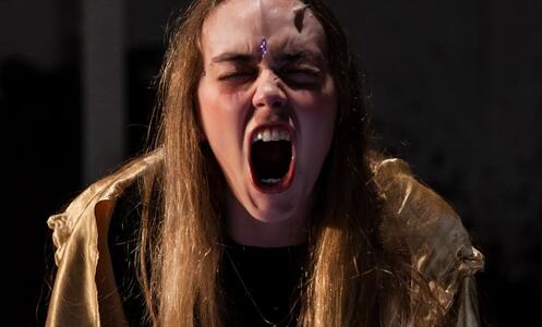 Foto 3 de l'espectacle Primera sangre