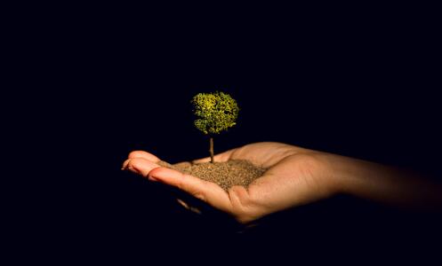 Foto 11 de l'espectacle An-ki