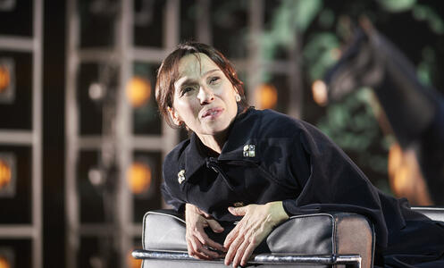 Foto 9 de l'espectacle Anna Karènina