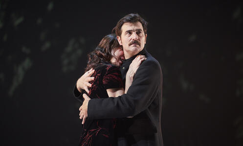 Foto 22 de l'espectacle Anna Karènina