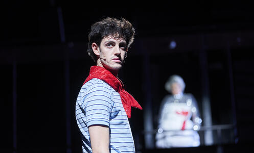 Foto 4 de l'espectacle Massa brillant