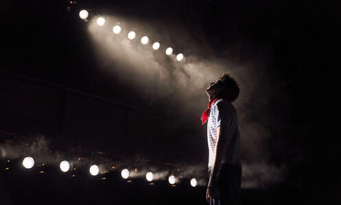 Foto 7 de l'espectacle Massa brillant