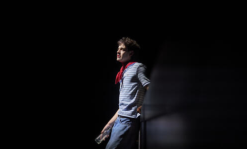 Foto 9 de l'espectacle Massa brillant