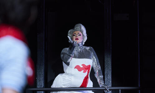 Foto 13 de l'espectacle Massa brillant