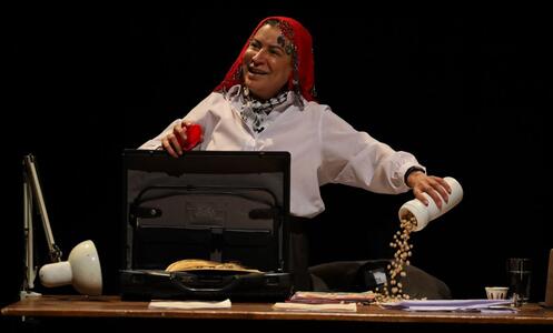 Foto 4 de l'espectacle The gazelle of Akka