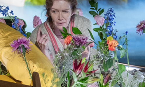 Foto 6 de The hours © Dim Balsem