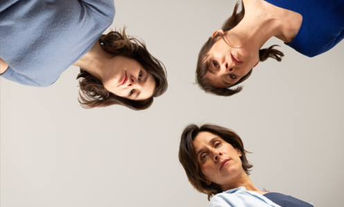 Anatomia-dun-suicidi