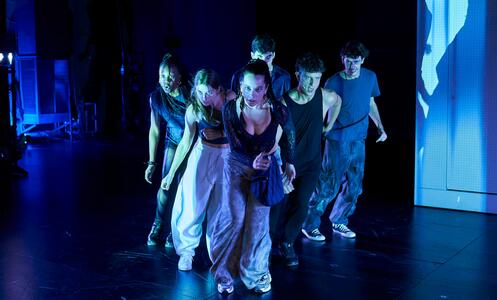 Foto 11 de Tarsius ©David Ruano/TNC