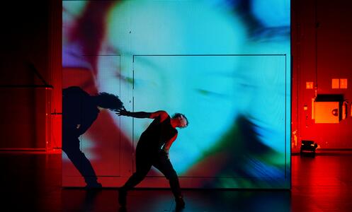 Foto 12 de Tarsius ©David Ruano/TNC