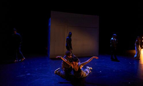 Foto 15 de Tarsius ©David Ruano/TNC