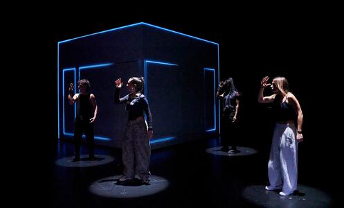 Foto 9 de Tarsius ©David Ruano/TNC