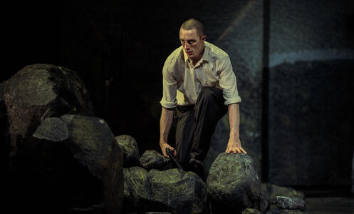 Chroniques © Virginia Rota