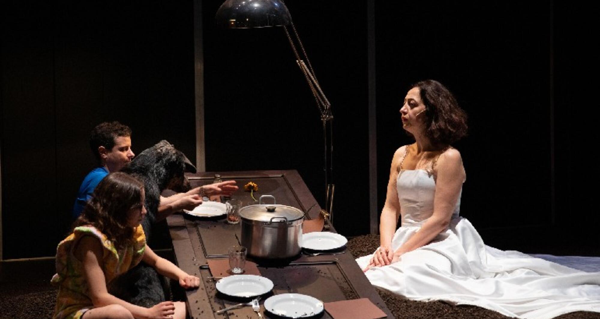 Foto 4 de l'espectacle Les jours de mon abandon