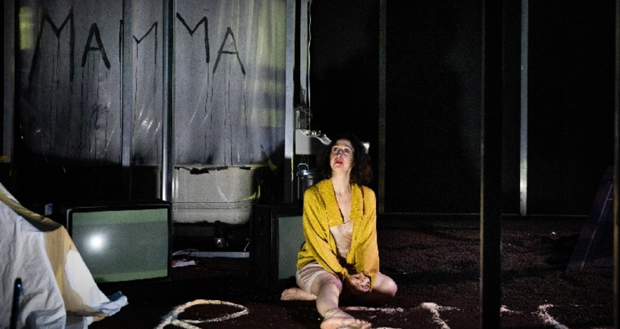 Foto 5 de l'espectacle Les jours de mon abandon