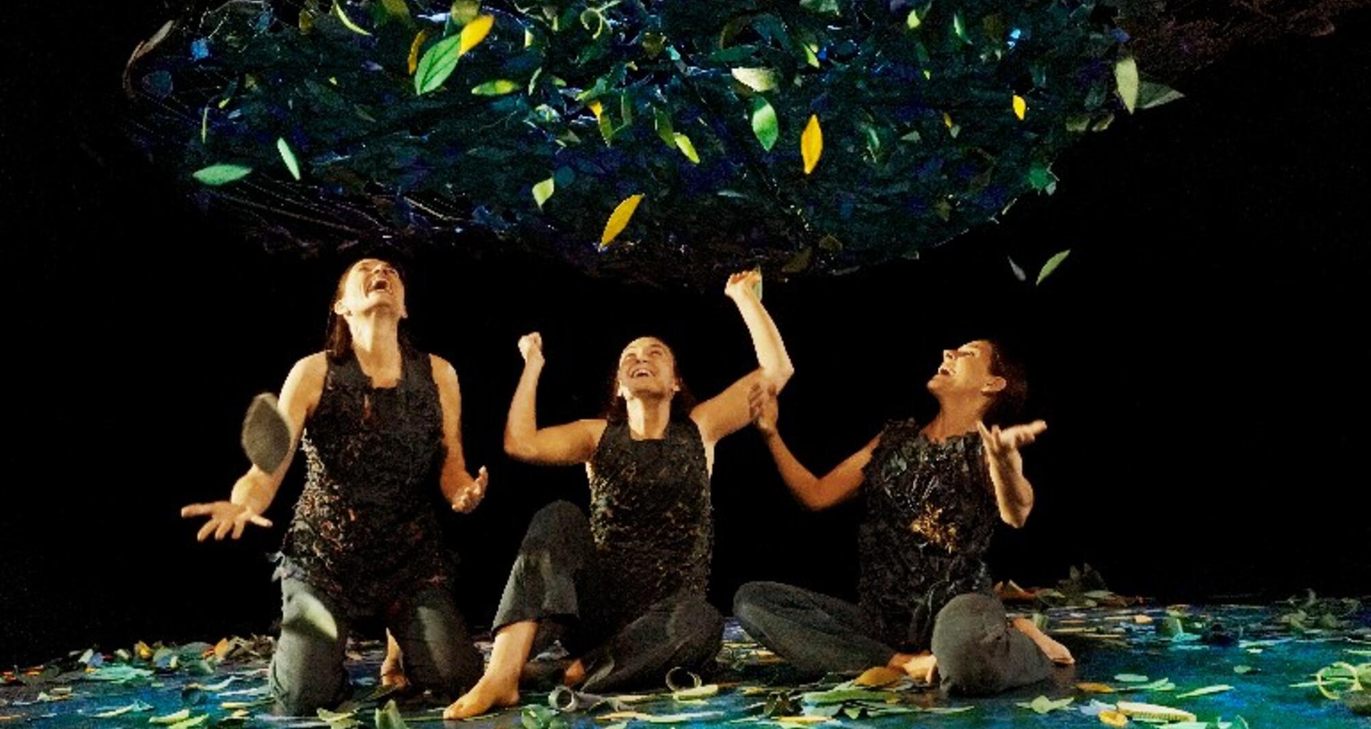 Foto 2 de l'espectacle Sotabosc © Ana Zaragoza