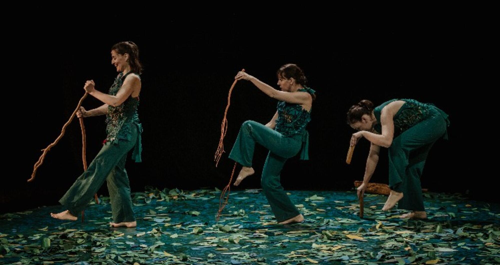 Foto 5 de l'espectacle Sotabosc © Ana Zaragoza