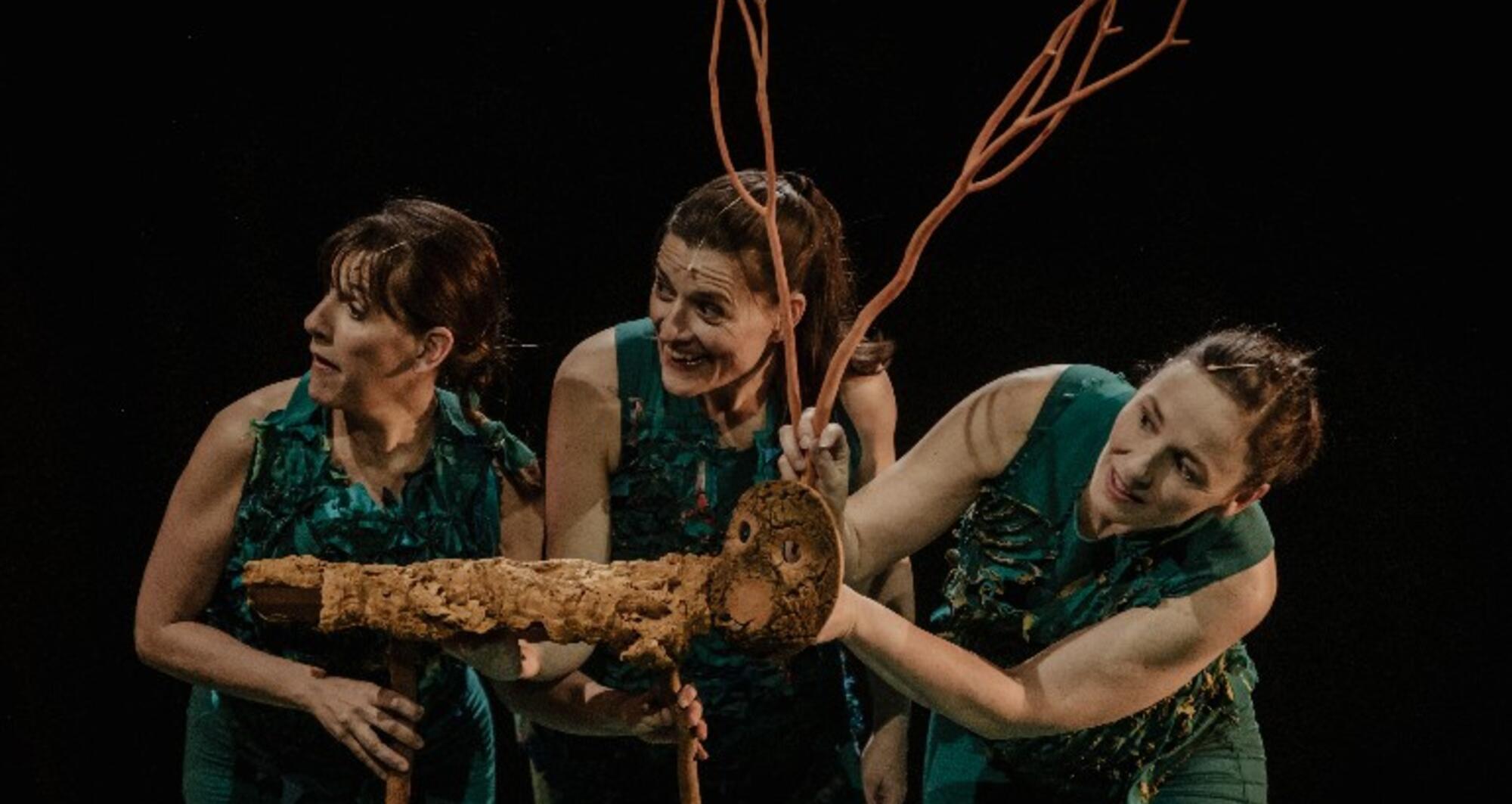 Foto 6 de l'espectacle Sotabosc © Ana Zaragoza