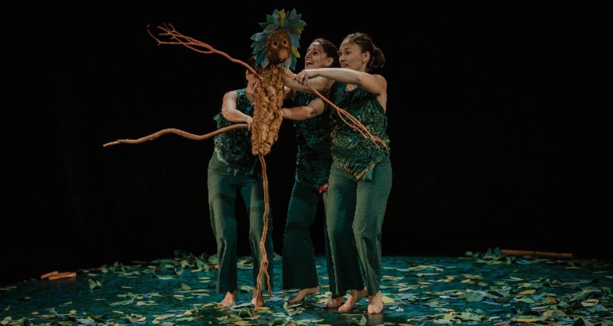 Foto 7 de l'espectacle Sotabosc © Ana Zaragoza