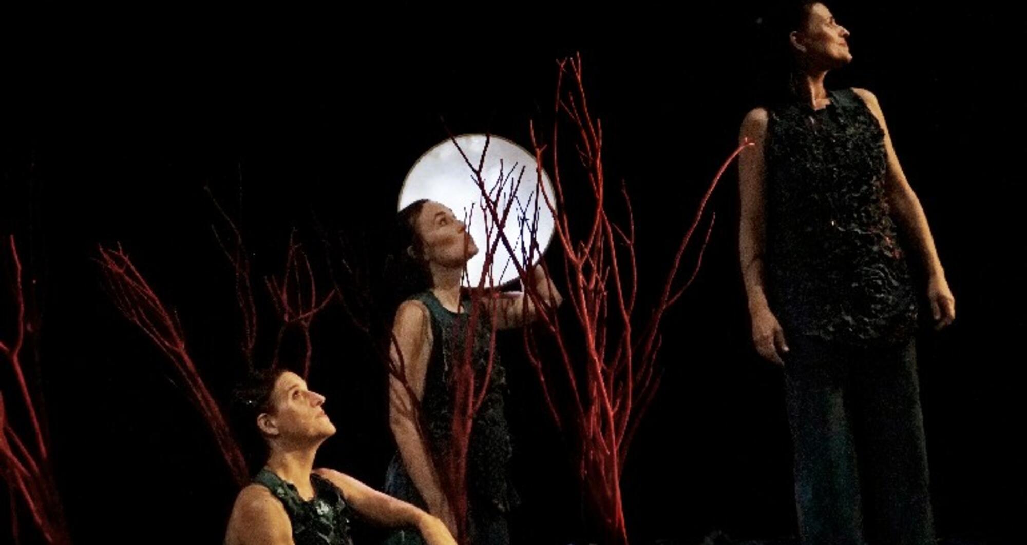 Foto 8 de l'espectacle Sotabosc © Ana Zaragoza