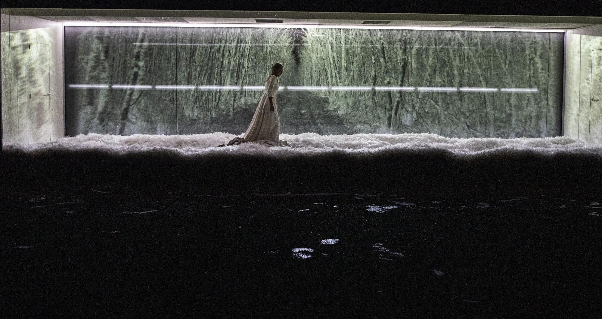 Foto 4 de Dissection d’une chute de neige © Géraldine Aresteanu