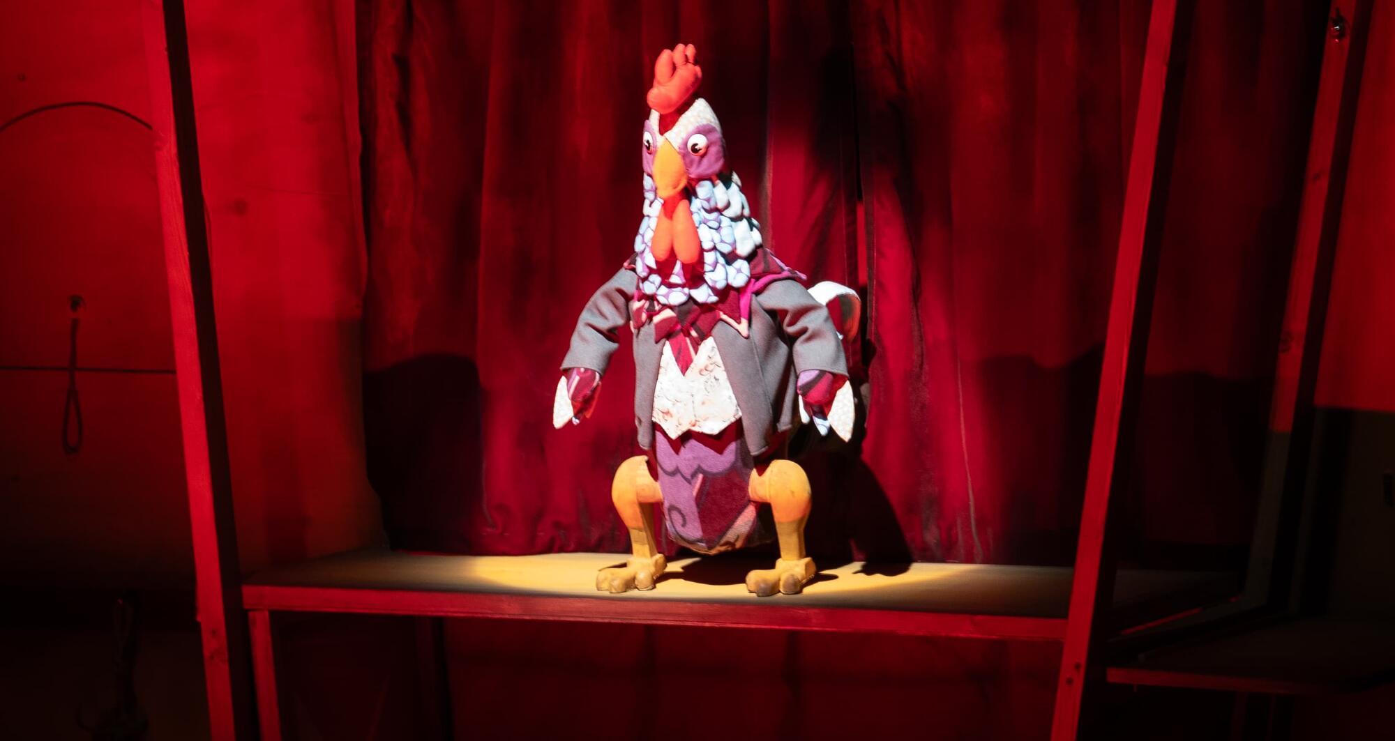 Foto Sigues Tortuga (3) ©Arian Botey