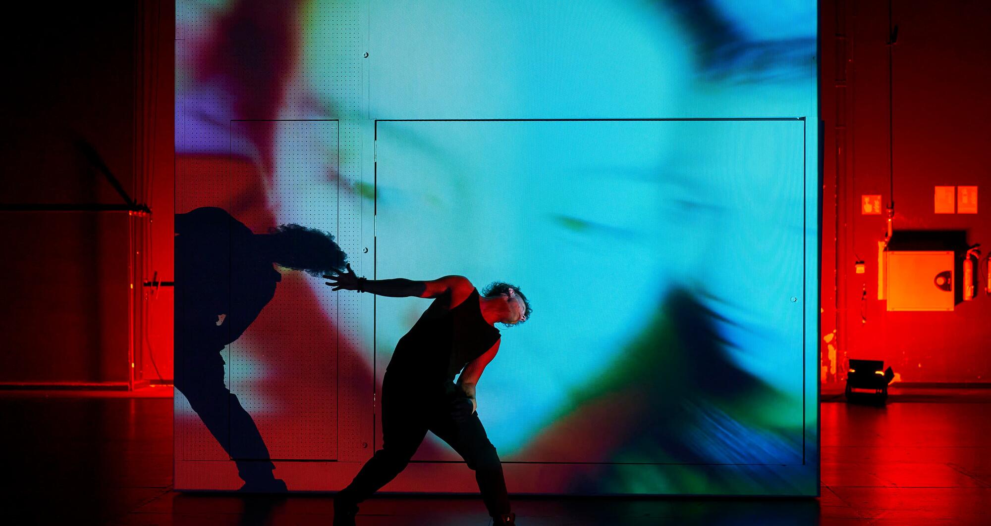 Foto 12 de Tarsius ©David Ruano/TNC