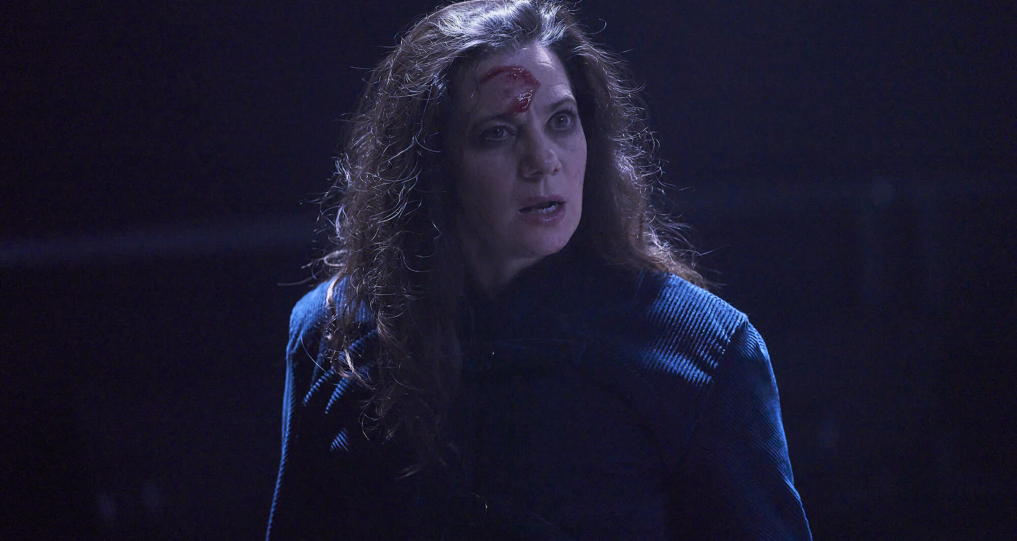 Foto 16 La reina lloba © David Ruano/TNC