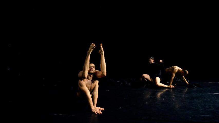 Foto 5 de l'espectacle ChoreoLab Internacional
