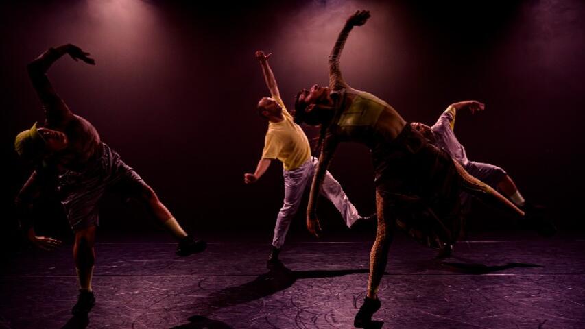 Foto 2 de l'espectacle ChoreoLab Internacional