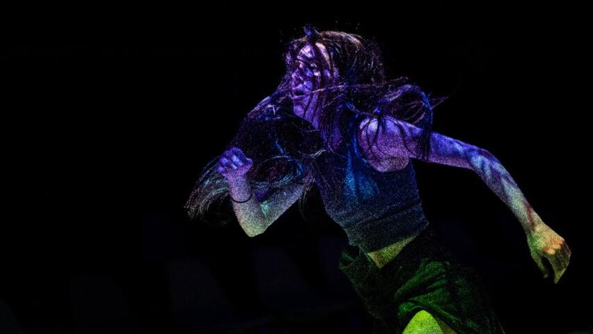 Foto 4 de l'espectacle Hannibal